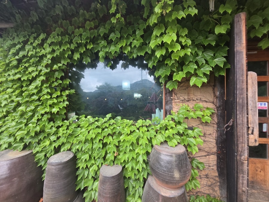 풀향기 사진 5