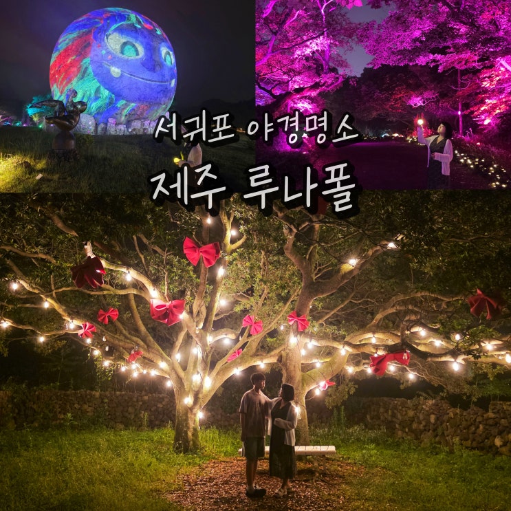  제주도 서귀포 가볼만한곳 제주 서쪽 아이와 가볼만한곳 야경명소