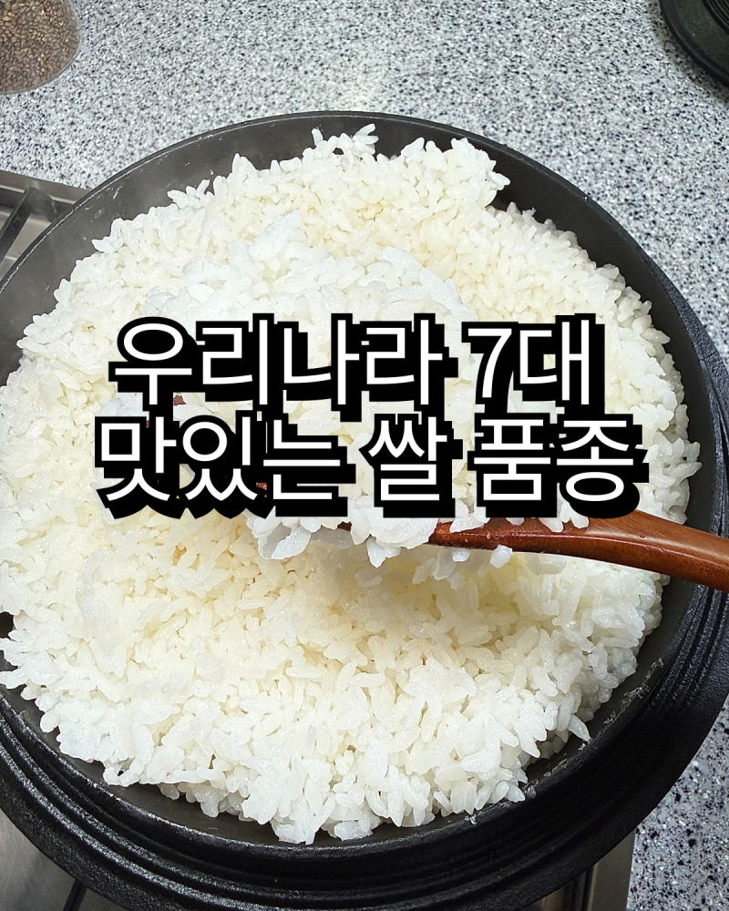 우리나라 7대 맛있는 쌀 품종 추천