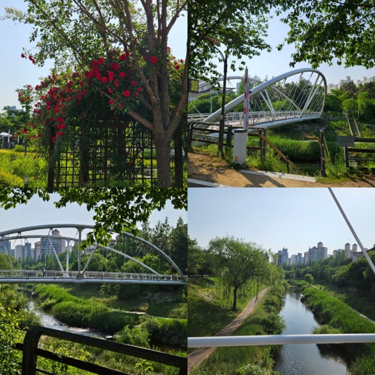  수원 신동카페거리 신동수변공원 야외 데이트 갈만한곳
