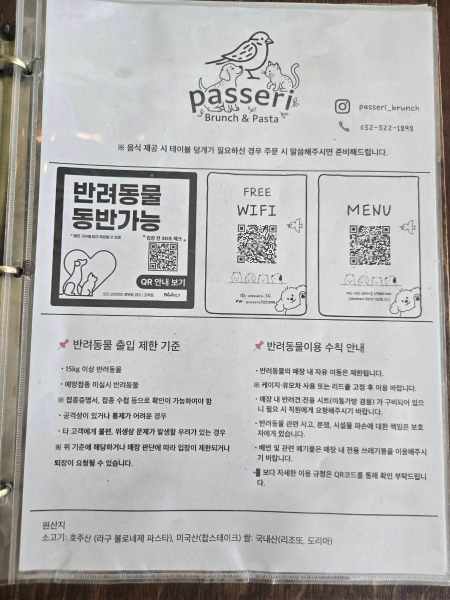 파세리 사진 5