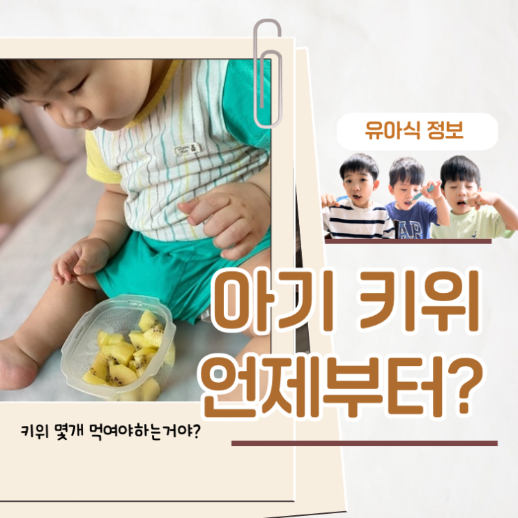  아기 키위 언제부터 시기 양 알레르기 주의사항 총정리