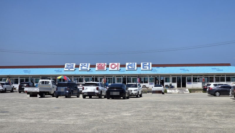 속초 양양 차박 캠핑 후기｜설악해변 끝 모래사장 & 후진항 1박 2일 가족 차박, 낚시와 회센터....