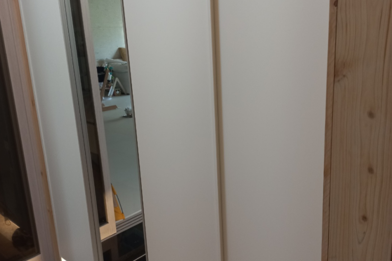 먼지벌레퇴치 특수해충 전문업체 부른 후기