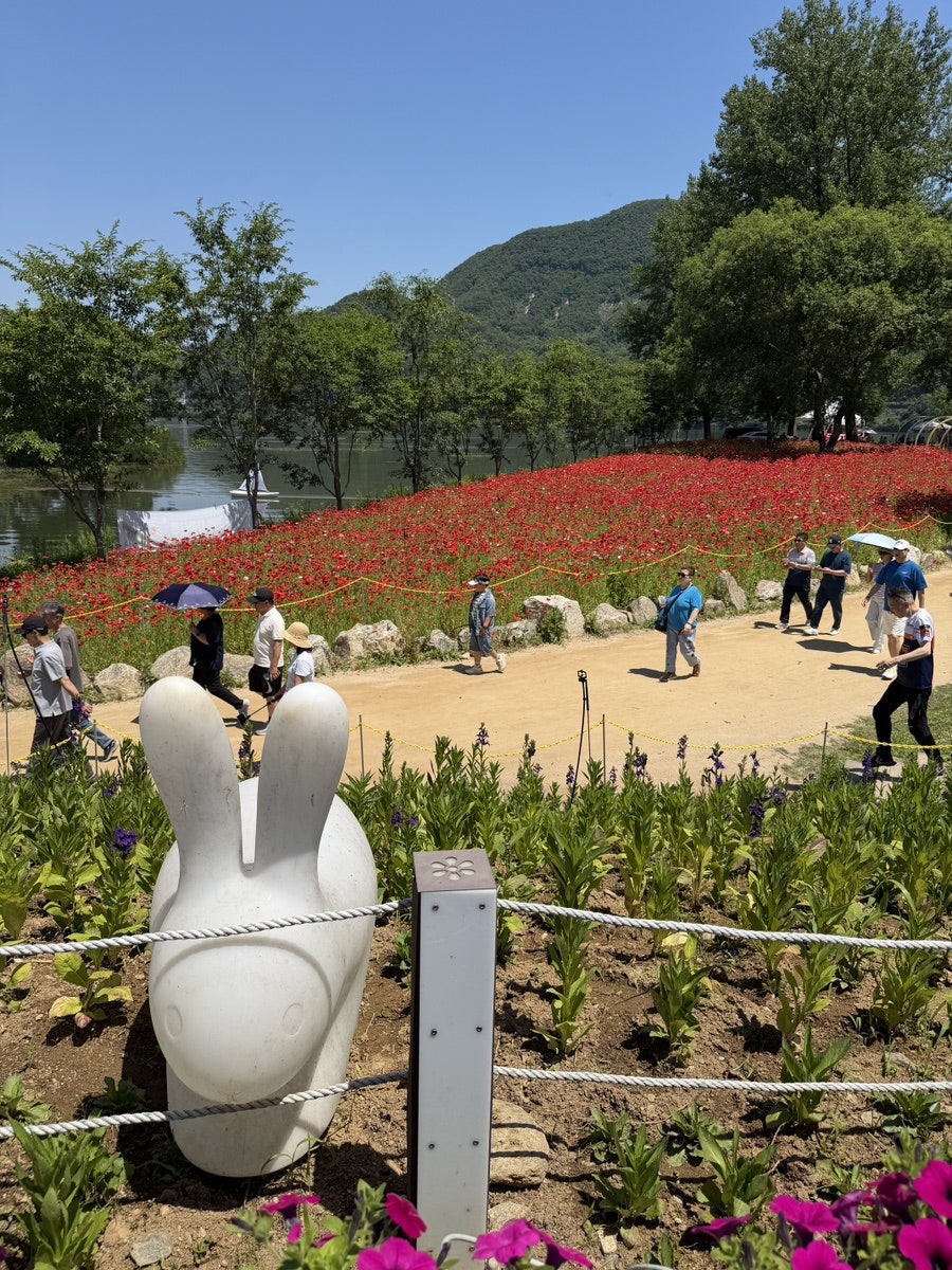 88제육 가평점 사진 6