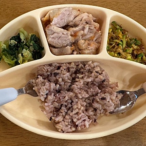 (무염 유아식) 22개월 아기 무염 유아식 식단 l 닭다리살 구이 청경채무침 밥새우애호박볶음