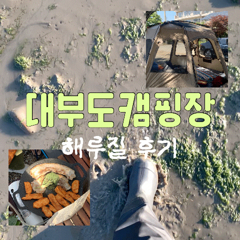대부도 캠핑장 비치캠핑장 사이트 후기, 대부도 해루질 포인트 낙조와 게잡기