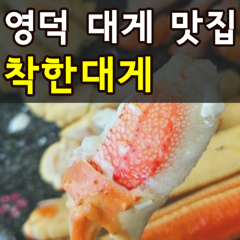 영덕대게맛집 강구항 착한 대게 대게코스가격 어른2+아이2명 먹고온 솔직후기