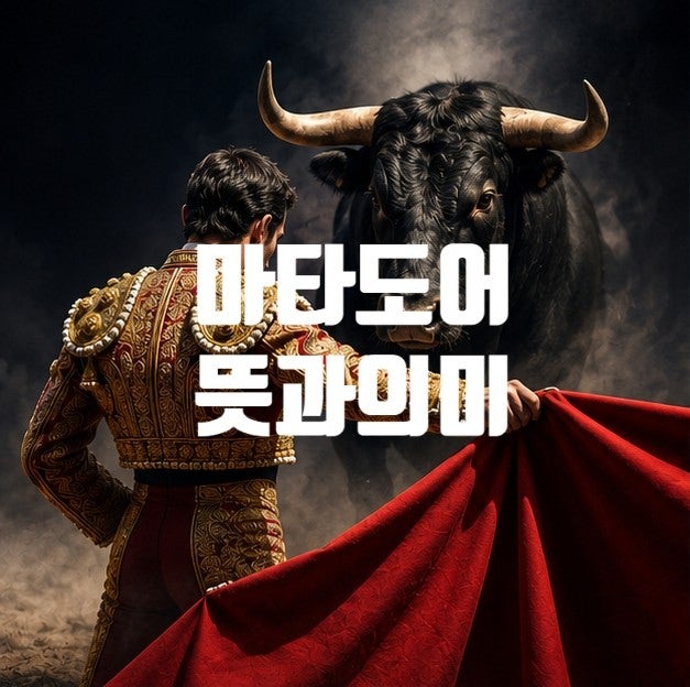 <b>마타도어 뜻</b> 쉽게 설명, 선거철마다 등장하는 이유
