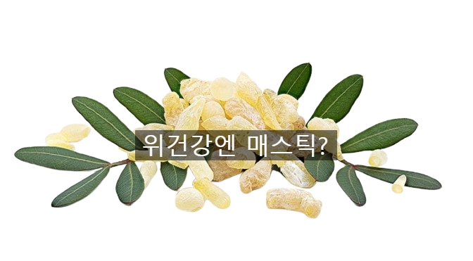 매스틱이 위건강에 좋다구요? 매스틱 좋은점 및 역류성식도염 매스틱검 추천
