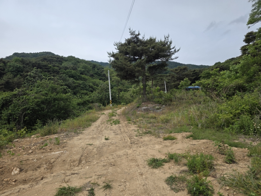 건흥산 사진 3