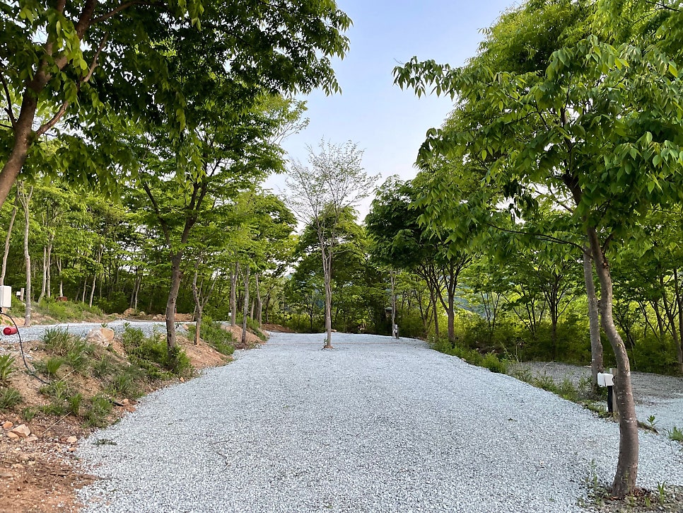 비발디캠핑파크 노일점 사진 6