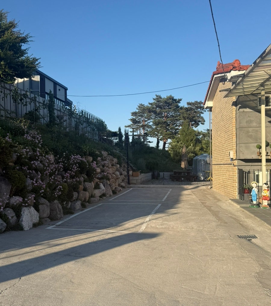 코델리아 사진 5