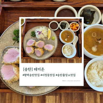[송탄] 송탄출장소 안심카츠 맛집 "테키온"