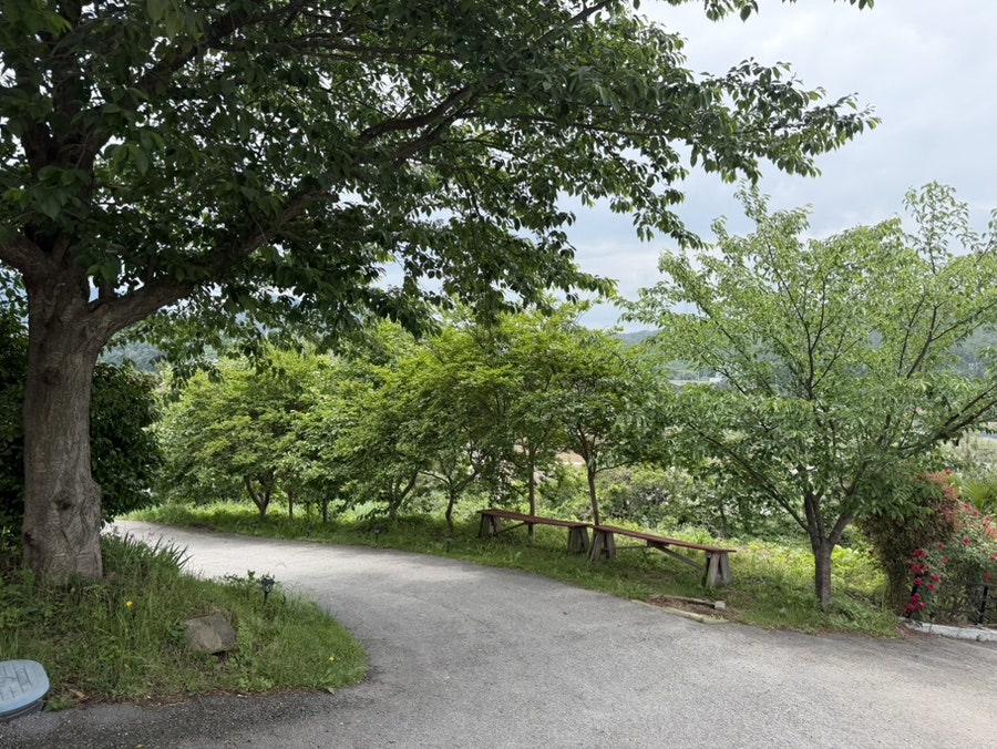 조선시대 사진 2