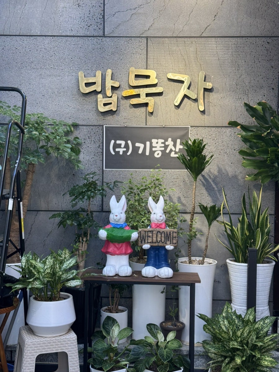 밥묵자 사진 2