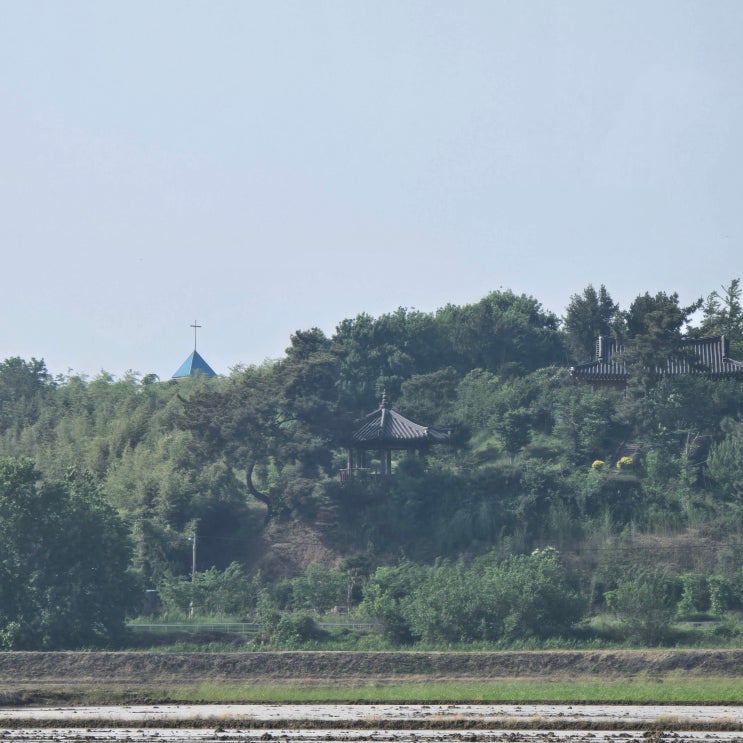  260601 운동기록 - 5월 운동 결산