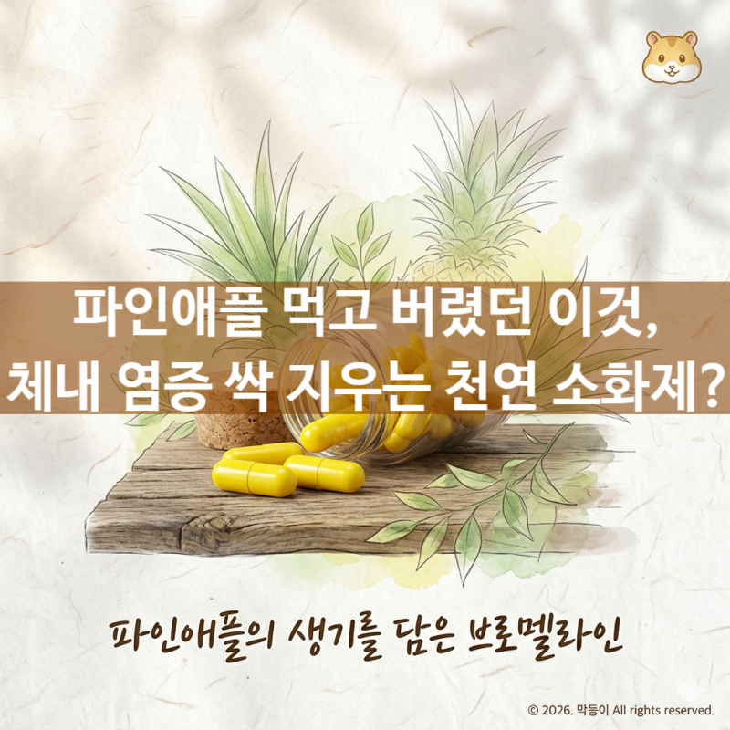 브로멜라인 효능 염증 싹 지우는 천연 소화제
