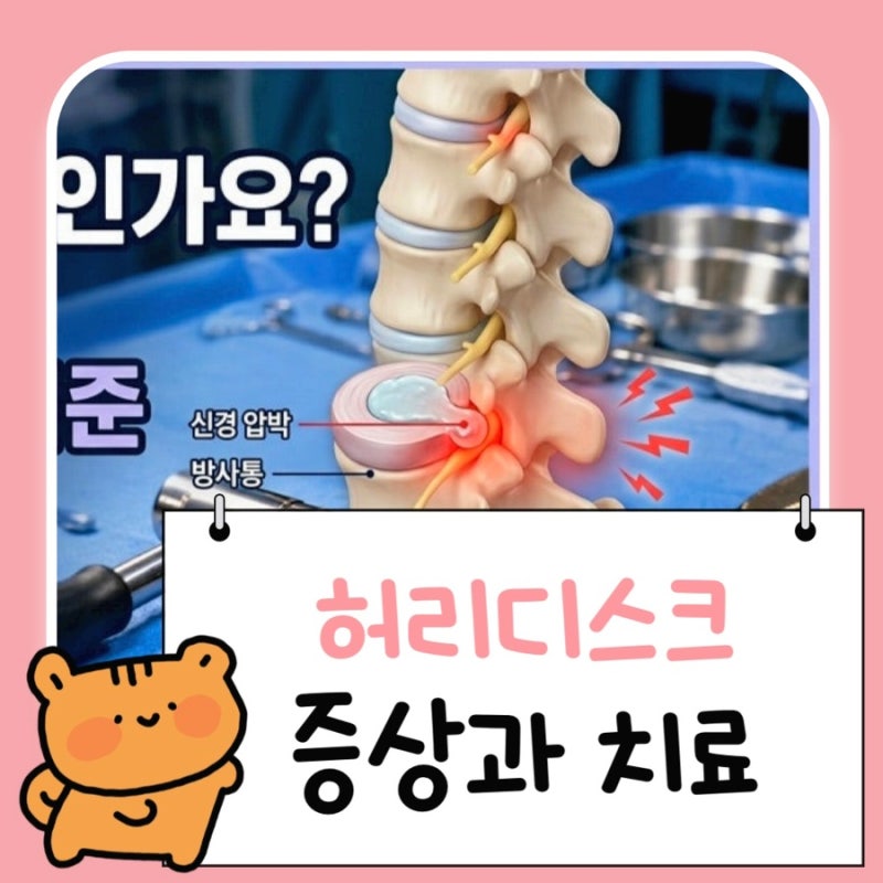 허리디스크 터지면 나타나는 증상 ? 갑자기 걷지도 못한 내 친구