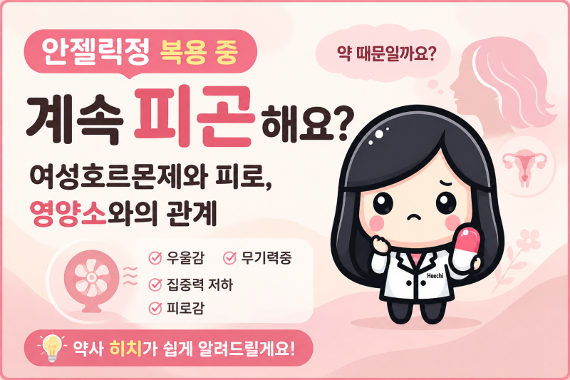 안젤릭정 먹는데 계속 피곤해요?갱년기, 폐경기 여성의 피로, 여성호르몬제 때문일까요?