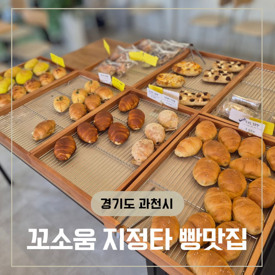 꼬소움 사진 1