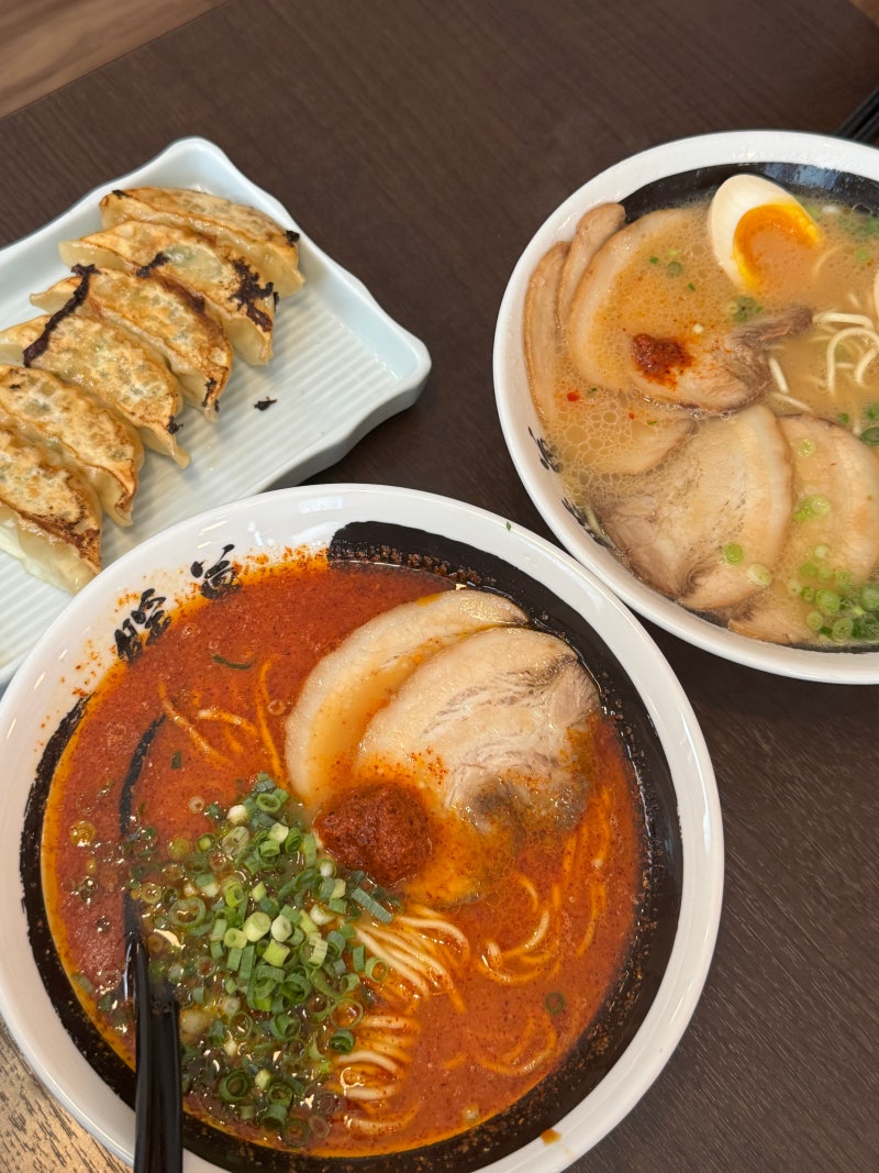[오키나와 오리엔탈 리조트 근처 맛집] 단보라멘 나고점 웨이팅 없이 먹은 후기