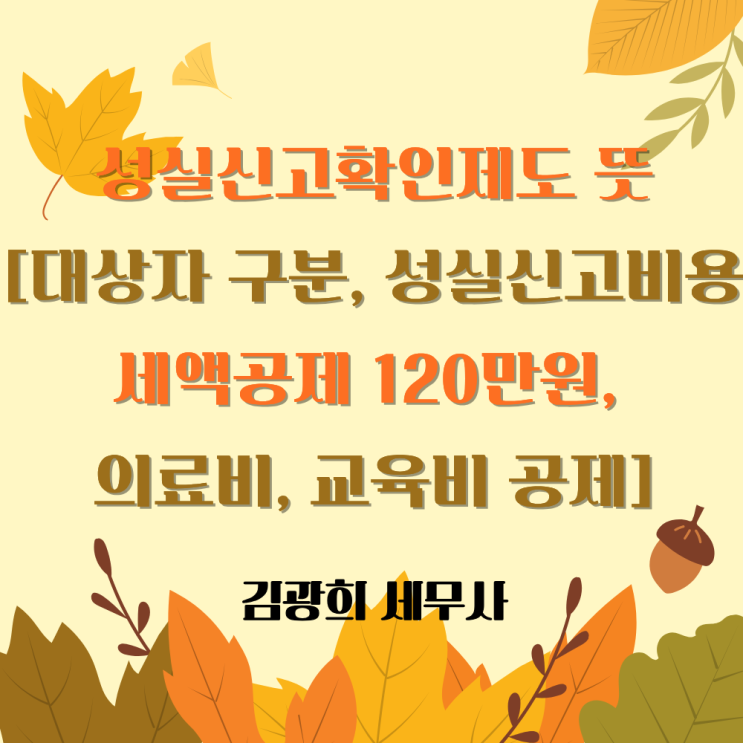  성실신고확인제도 뜻[대상자 매출 구분, 성실신고비용 세액공제 120만원, 의료비, 교육비 공제]