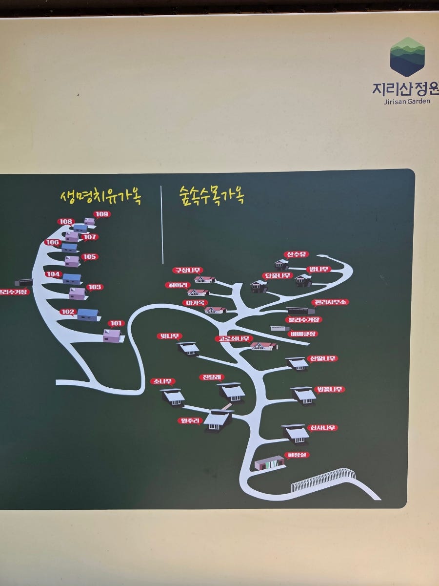 숲속수목가옥 밤나무 사진 5