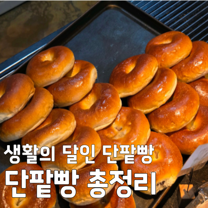 [생활의 달인 단팥빵] 전국 최고의 단팥빵 달인 빵집 위치 총정리
