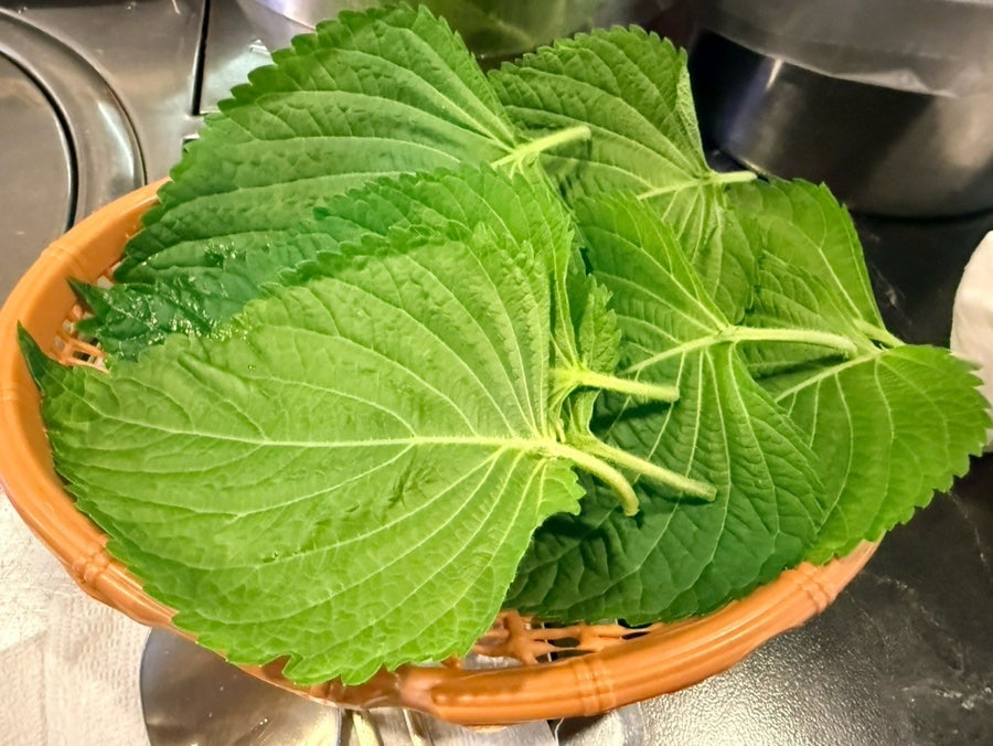 대홍집 사진 6