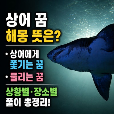 상어 꿈 해몽 뜻은? 상어에게 쫓기는 꿈 물리는 꿈 상황별 장소별 풀이