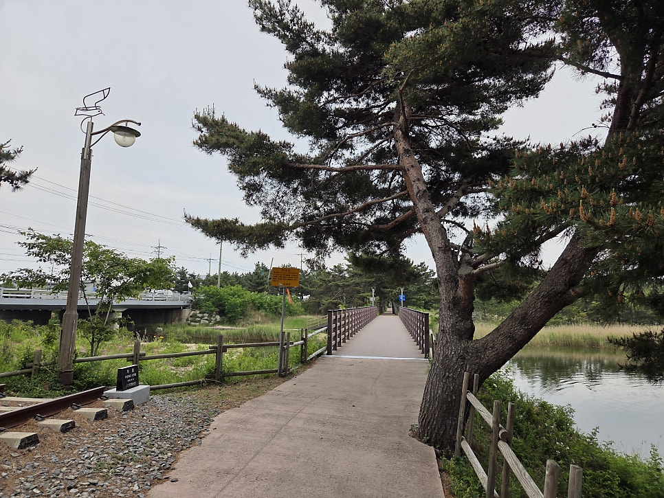 알프스모텔 사진 5