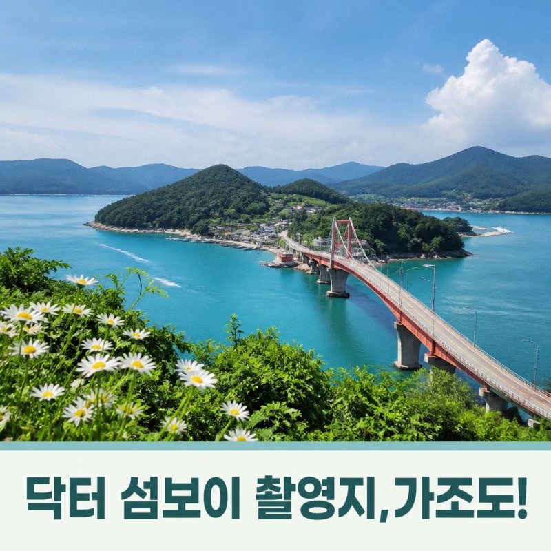 닥터 섬보이 촬영지 어디? 검색량 급상승 이유는?