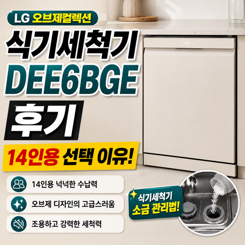 엘지 식기세척기 오브제컬렉션 DEE6BGE 후기 14인용 선택 이유와 식기세척기 소금 관리법