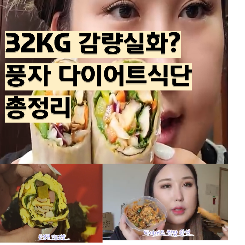 32kg 감량 실화? 풍자 다이어트 식단 레시피 총정리
