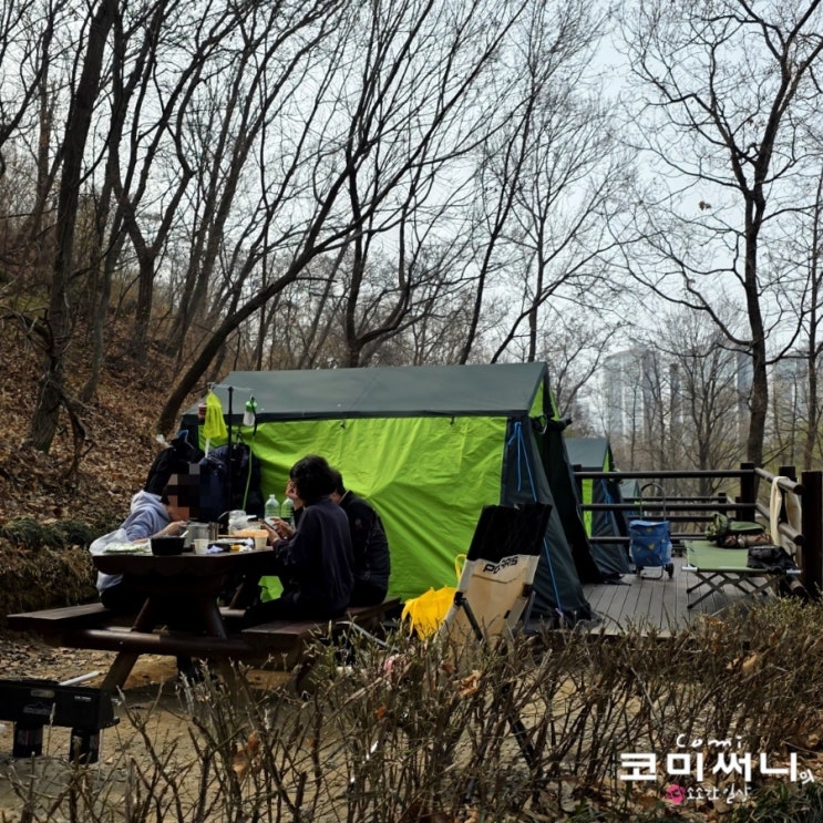 서울 도심 안 캠핑장 강동그린웨이 가족캠핑장 텐트 설치된 매화나무 캠핑장 (이용 시간과 예약 방법, 휴장일)