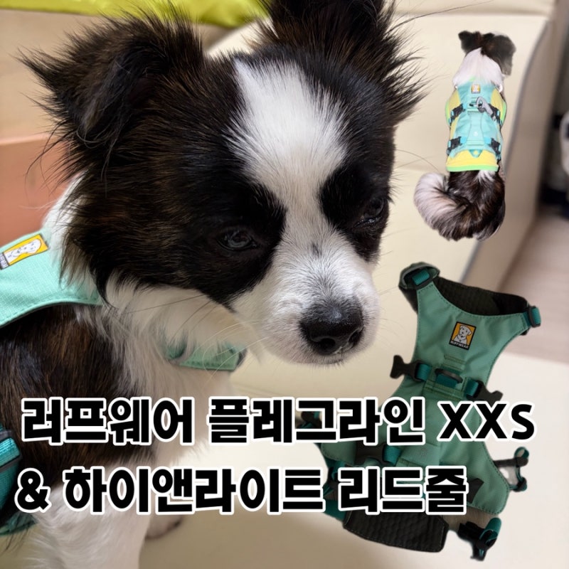 러프웨어 플레그라인 하네스 하이앤라이트 리드줄 솔직 후기