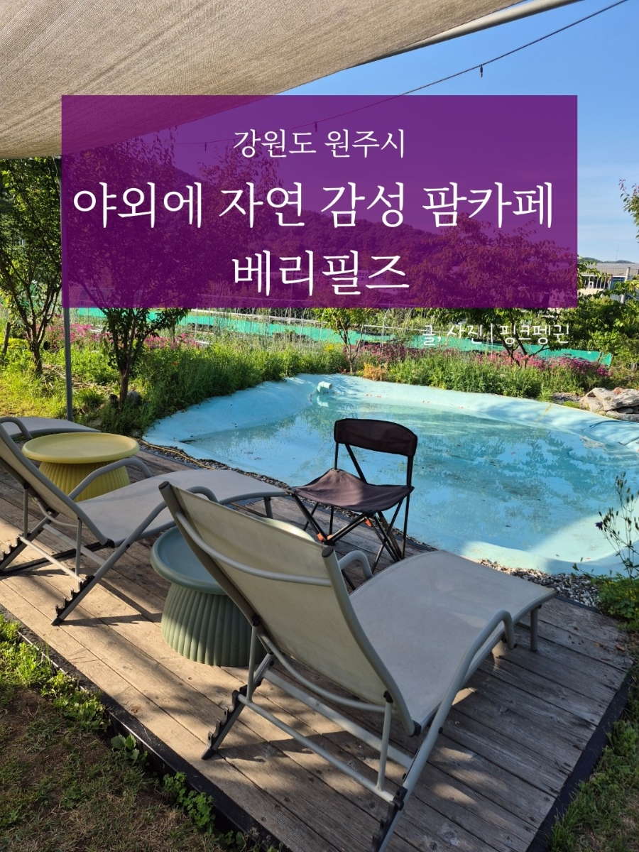 베리필즈 사진 1
