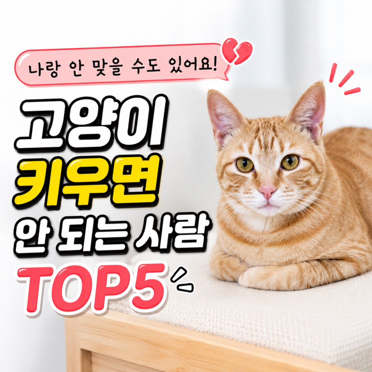  고양이 키우면 안 되는 사람 TOP5