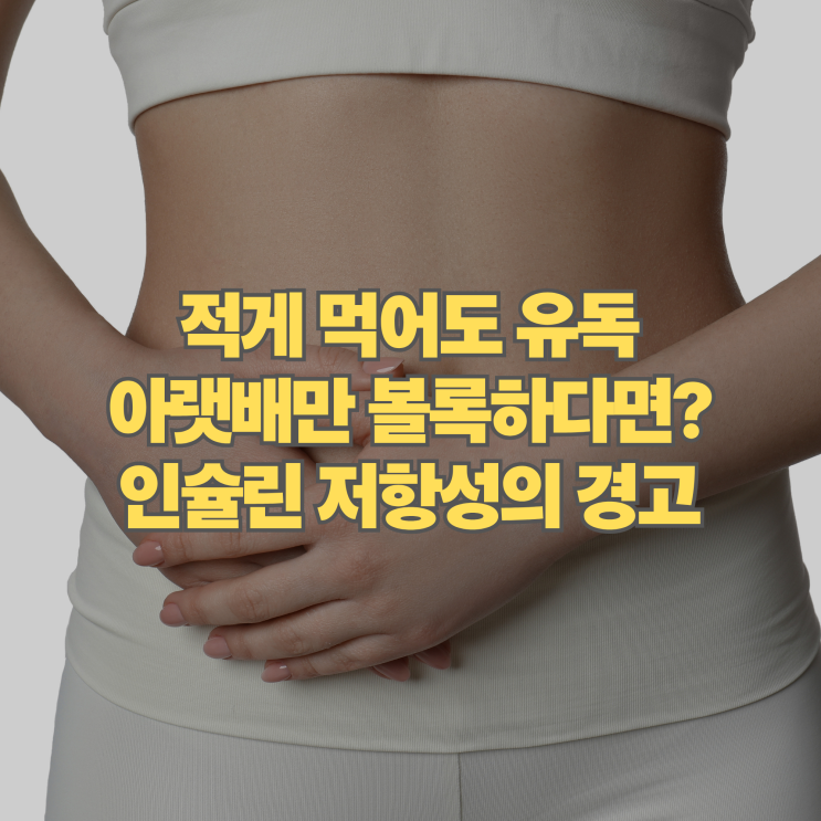  적게 먹어도 유독 아랫배만 볼록 튀어나올 때 의심해야 할 인슐린 저항성 신호