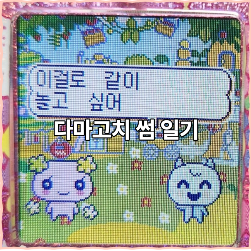 다마고치 썸 일기