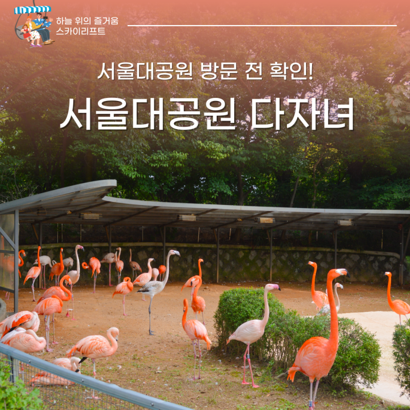 서울대공원 다자녀 총정리 동물원 무료 리프트 패키지 할인