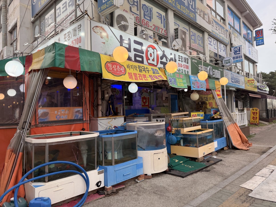 보금자리회수산 사진 1