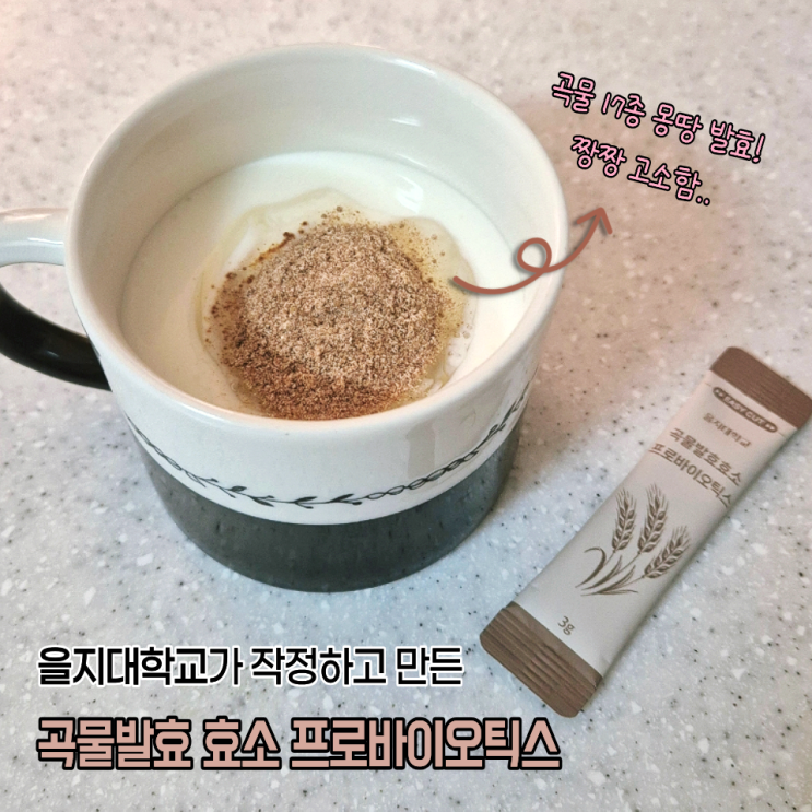  속편한 느낌이 좋아서 꾸준히 먹는 을지대학교 프로바이오틱스 발효곡물 효소유산균 공복루틴 정착후기