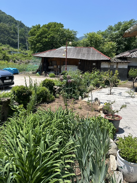 토박이 사진 2