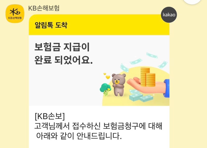 수족구 보험청구 후기 (KB손해보험 수족구 특약 및 주의사항)