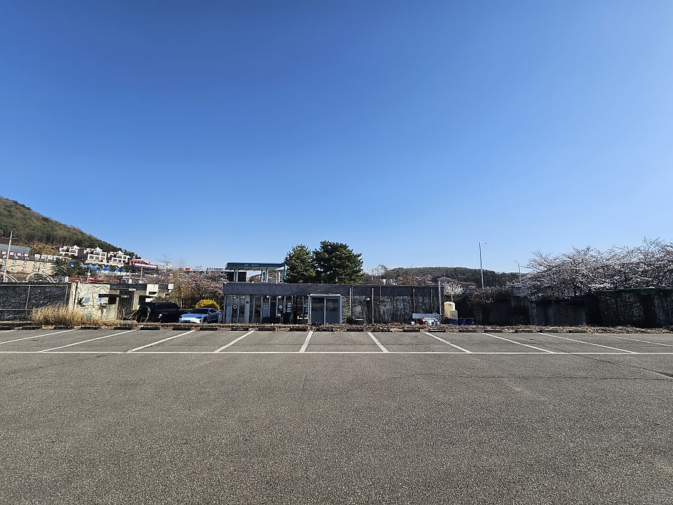 불끈힘센장어 사진 4