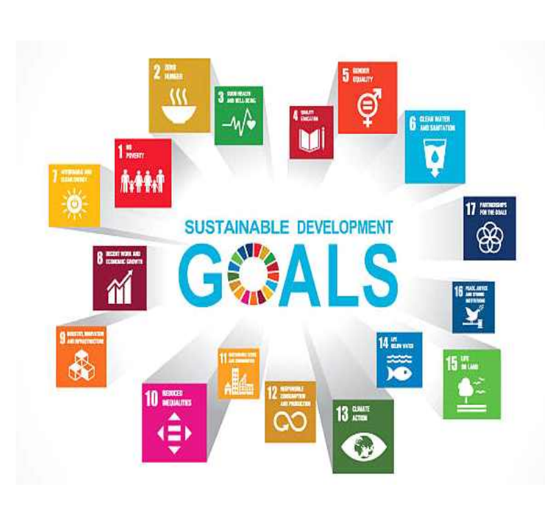 아동권리 보장과 지속가능발전목표(SDGs): 통합적 관점에서의 아동복지 실천 및 정책 제언