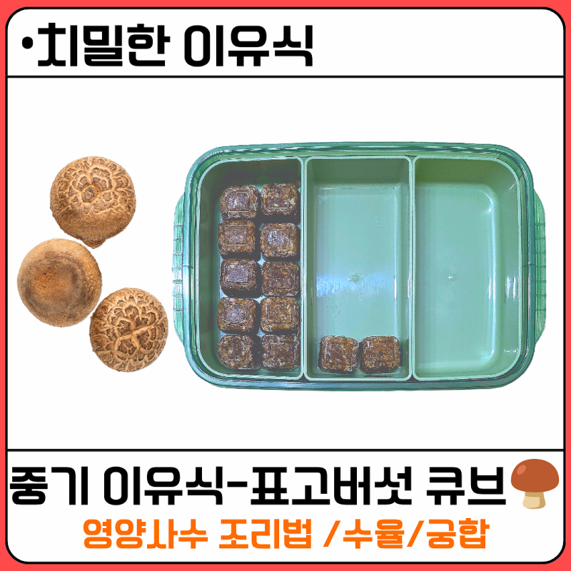 [치밀한 이유식] 중기 이유식 표고버섯 큐브 만들기찜기로 영양사수! 초퍼 대참사 극복한 치....