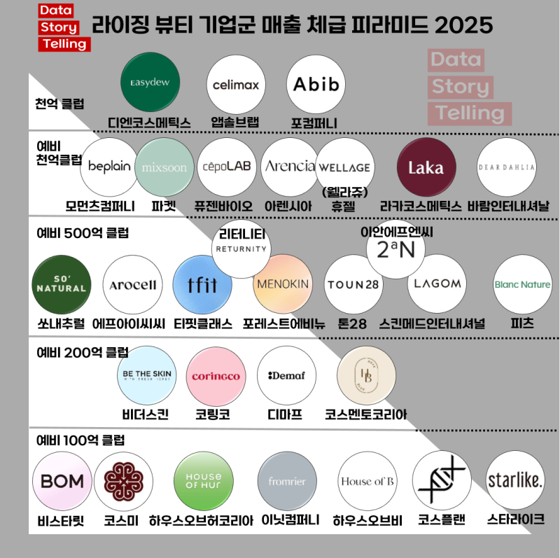라이징 뷰티 기업군 매출 체급 피라미드 2025